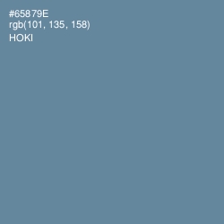 #65879E - Hoki Color Image