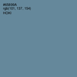 #65899A - Hoki Color Image