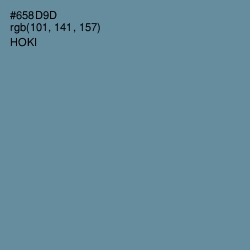 #658D9D - Hoki Color Image