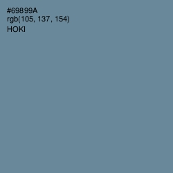 #69899A - Hoki Color Image