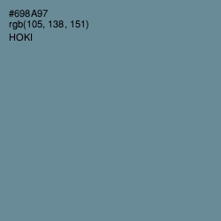 #698A97 - Hoki Color Image