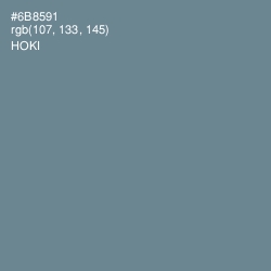 #6B8591 - Hoki Color Image
