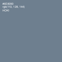 #6E8090 - Hoki Color Image
