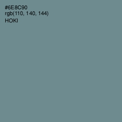#6E8C90 - Hoki Color Image