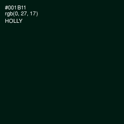 #001B11 - Holly Color Image