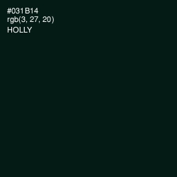 #031B14 - Holly Color Image