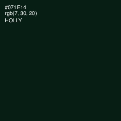 #071E14 - Holly Color Image
