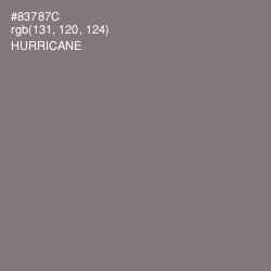 #83787C - Hurricane Color Image