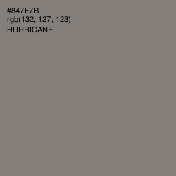 #847F7B - Hurricane Color Image