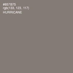 #857B75 - Hurricane Color Image