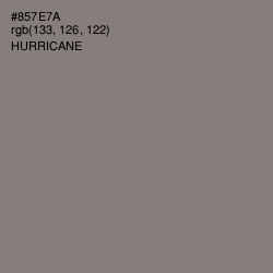 #857E7A - Hurricane Color Image
