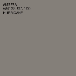 #857F7A - Hurricane Color Image
