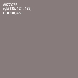 #877C7B - Hurricane Color Image