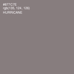 #877C7E - Hurricane Color Image