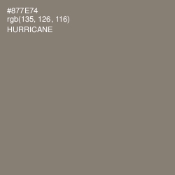 #877E74 - Hurricane Color Image