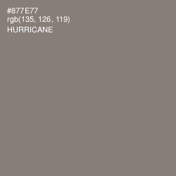 #877E77 - Hurricane Color Image