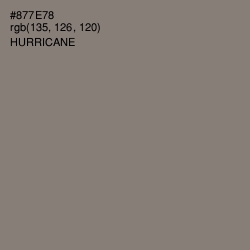 #877E78 - Hurricane Color Image