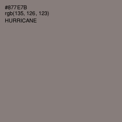 #877E7B - Hurricane Color Image