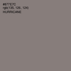 #877E7C - Hurricane Color Image