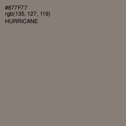 #877F77 - Hurricane Color Image