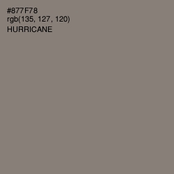 #877F78 - Hurricane Color Image