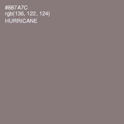 #887A7C - Hurricane Color Image