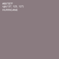 #897B7F - Hurricane Color Image