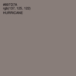 #897D7A - Hurricane Color Image