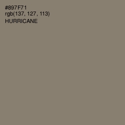 #897F71 - Hurricane Color Image