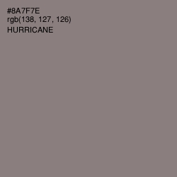 #8A7F7E - Hurricane Color Image