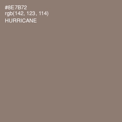 #8E7B72 - Hurricane Color Image