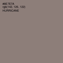 #8E7E7A - Hurricane Color Image