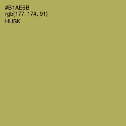 #B1AE5B - Husk Color Image