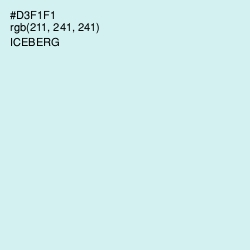 #D3F1F1 - Iceberg Color Image