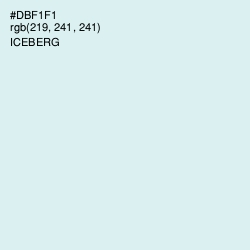 #DBF1F1 - Iceberg Color Image