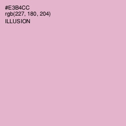 #E3B4CC - Illusion Color Image