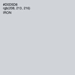 #D0D5D8 - Iron Color Image
