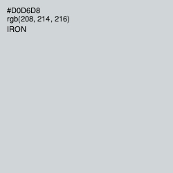 #D0D6D8 - Iron Color Image