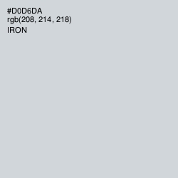 #D0D6DA - Iron Color Image