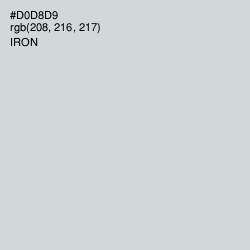 #D0D8D9 - Iron Color Image