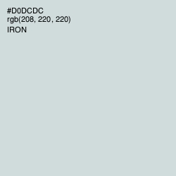 #D0DCDC - Iron Color Image