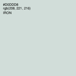#D0DDD8 - Iron Color Image