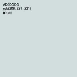 #D0DDDD - Iron Color Image