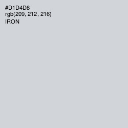 #D1D4D8 - Iron Color Image