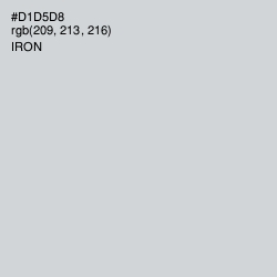 #D1D5D8 - Iron Color Image