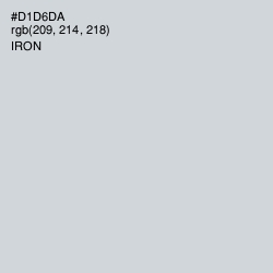 #D1D6DA - Iron Color Image