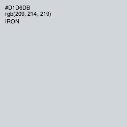 #D1D6DB - Iron Color Image