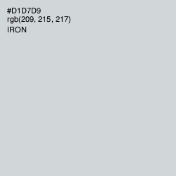 #D1D7D9 - Iron Color Image