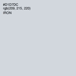 #D1D7DC - Iron Color Image