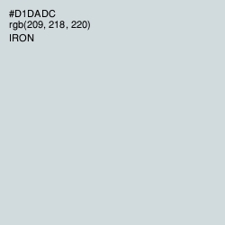 #D1DADC - Iron Color Image